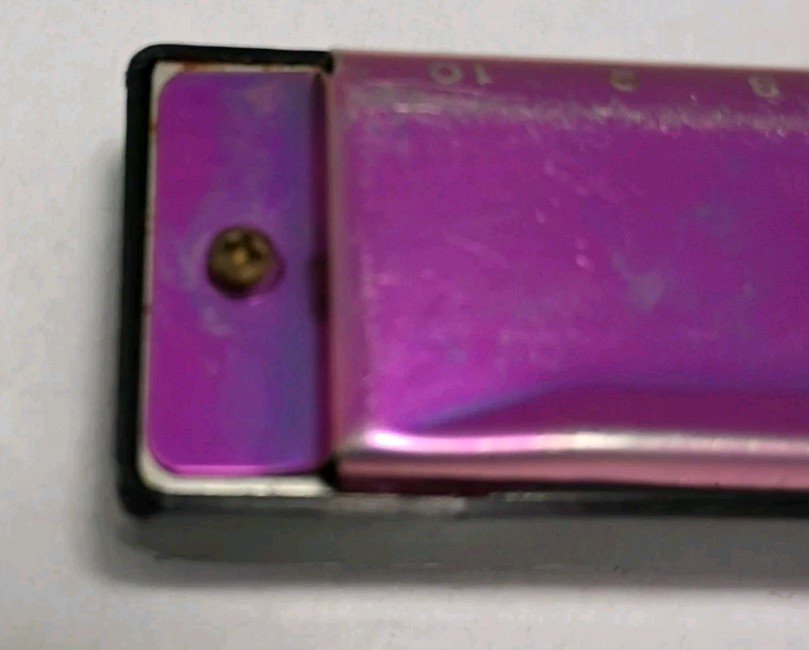 Small Fish Beginners Harmonica Harp 10 Hole Diatonic 10 Hole