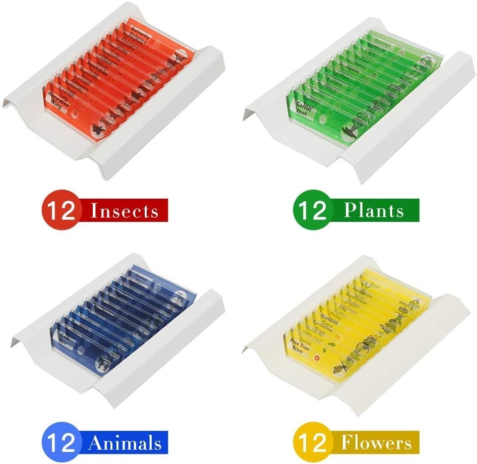 Non-Toxic 48 Prepared Microscope Slides - Ideal for Classroom Science Engagement