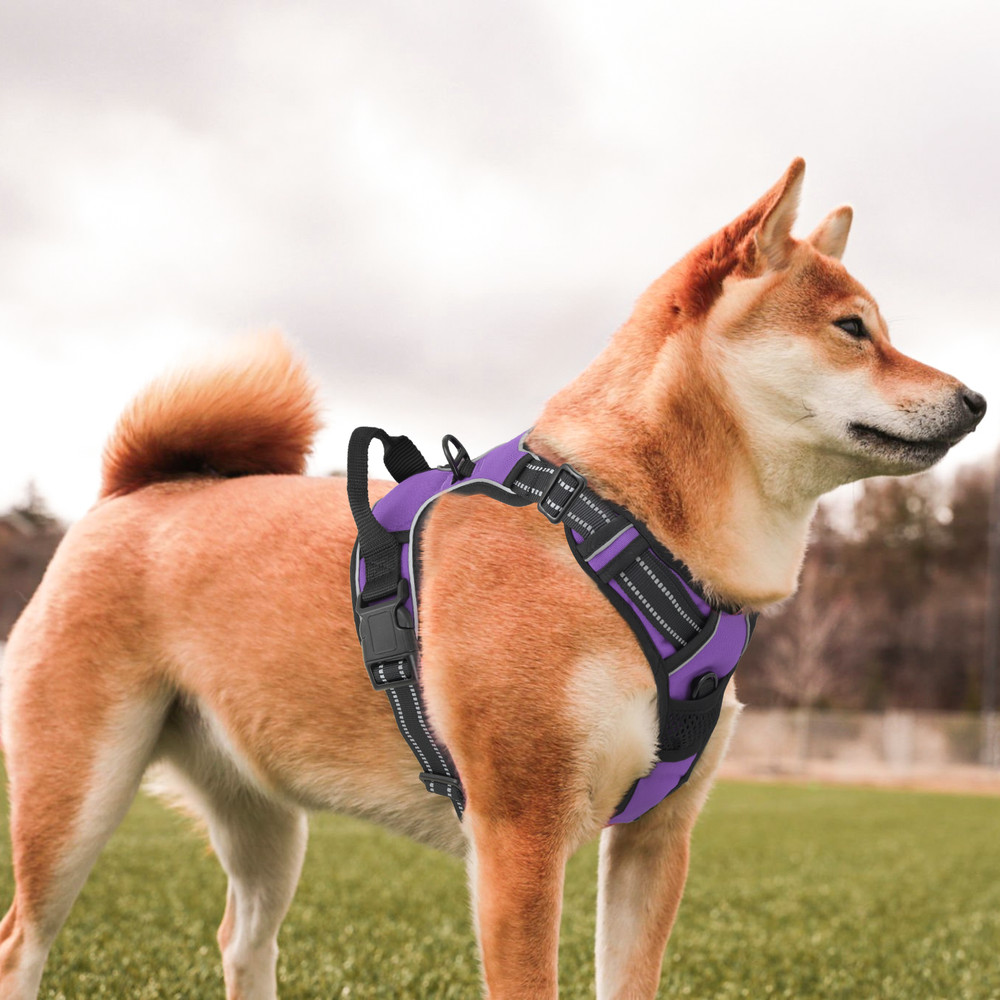 Comfortable Reflective No Pull Pet Dog Harness w/ Control Handle for Large Dogs