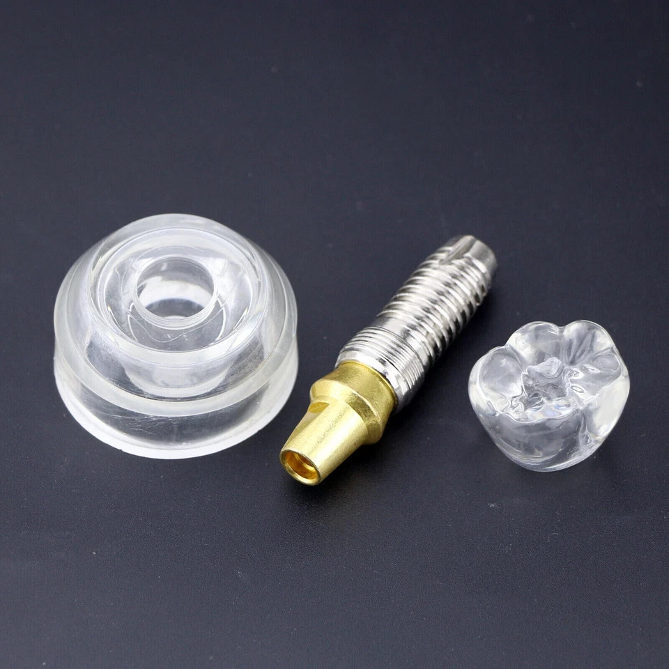 M2020 Dental Implant Model Teeth Study Teach Model Removable Clear Demonstration
