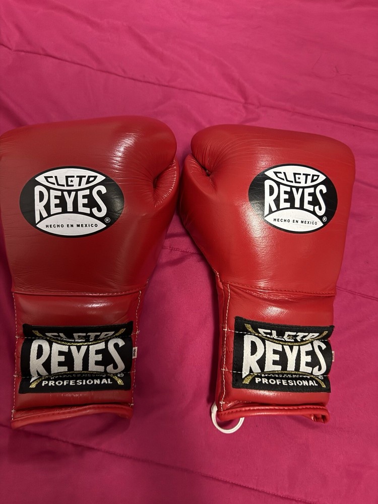Cleto Reyes Sparring set