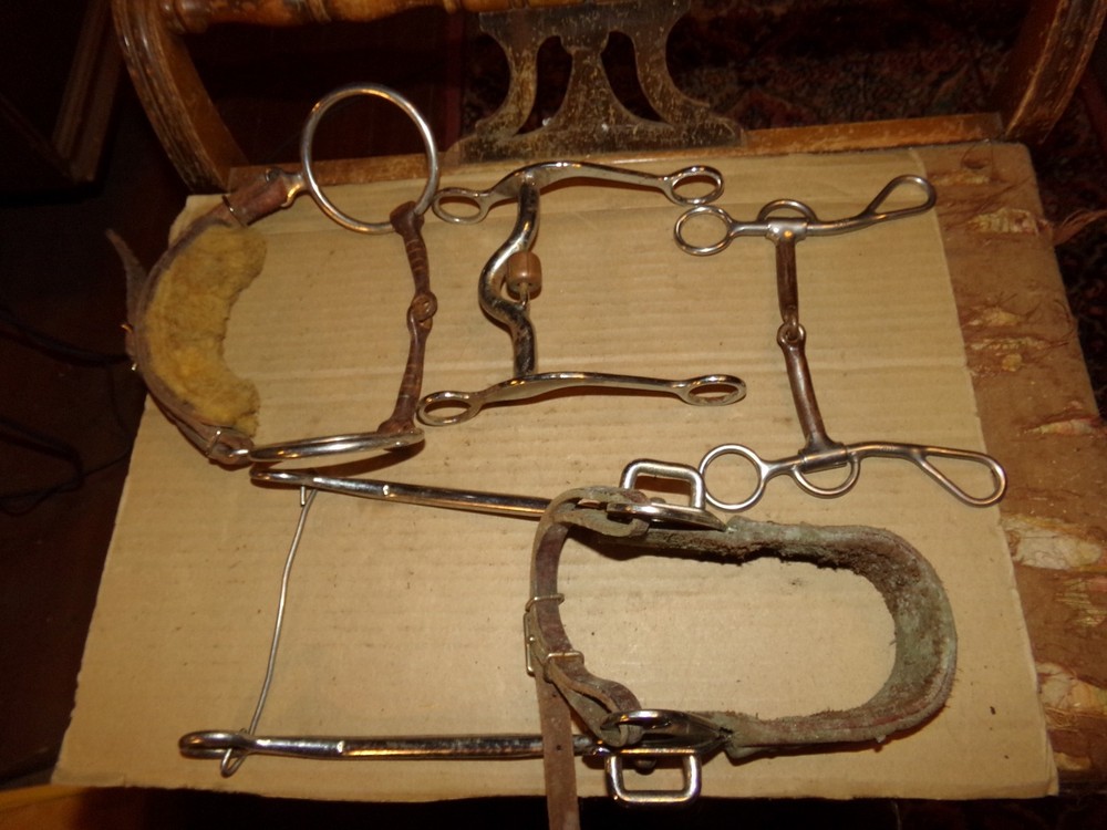4 Different Vintage Horse Bits Hackamore, Sweet Iron Snaffle, Copper Roller