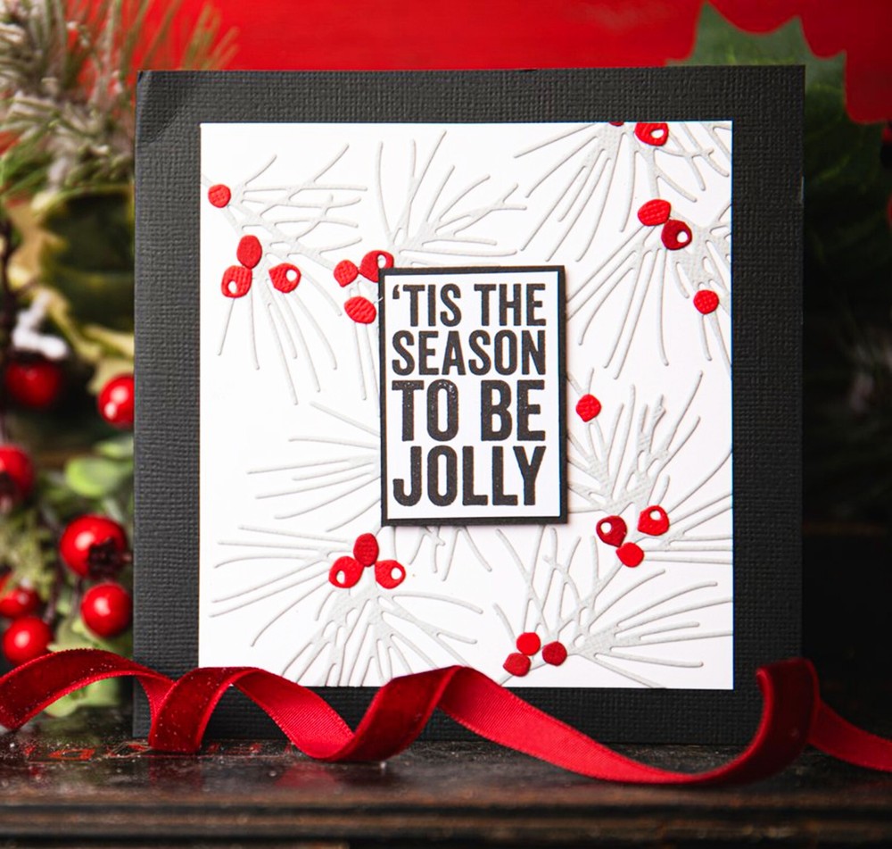 Sizzix Thinlits Festive Gatherings #666333 6pk set Retail $29.99 Tim Holtz NEW!