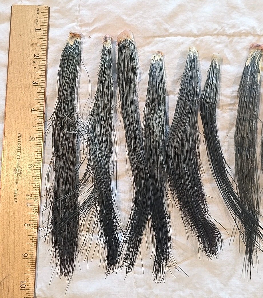 11 Fat Wild Turkey Beards Taxidermy Bird Crafts 6-9" #4