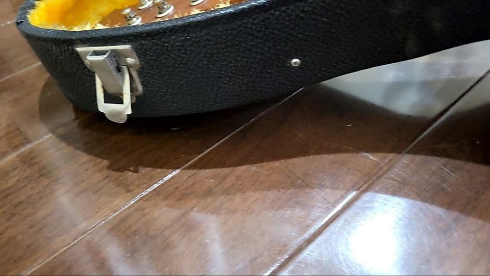 Suzuki Mandolin Violin Junk with some damage Case