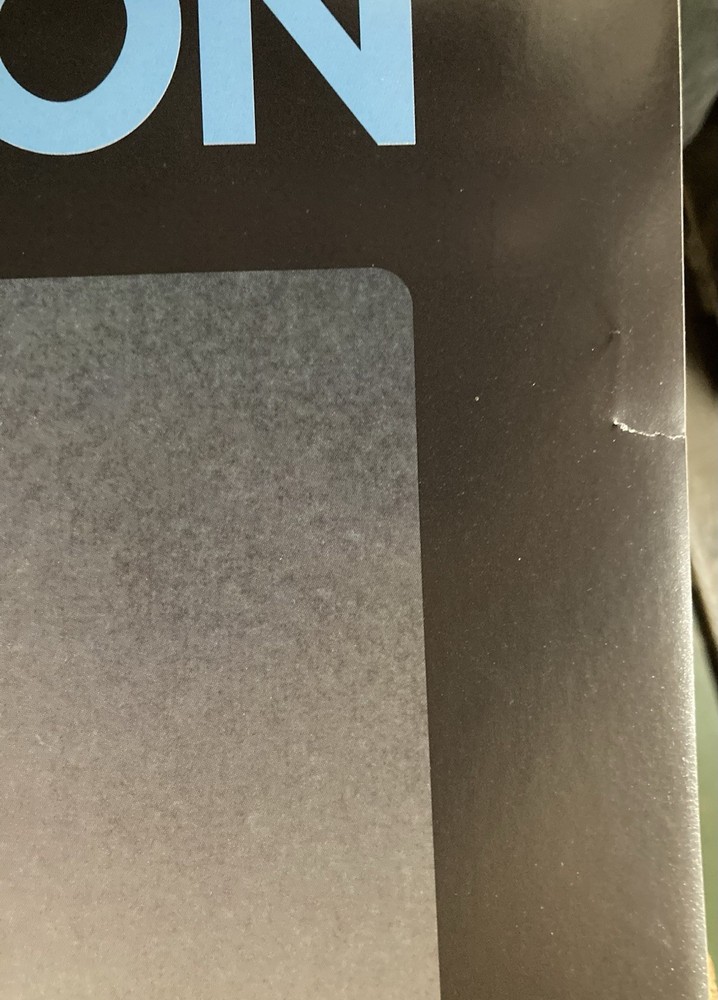 Whitney Houston 1999 Poster Funky P