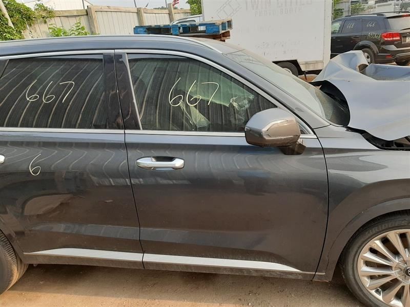 PALISADE 2020 Camera/Projector 537942