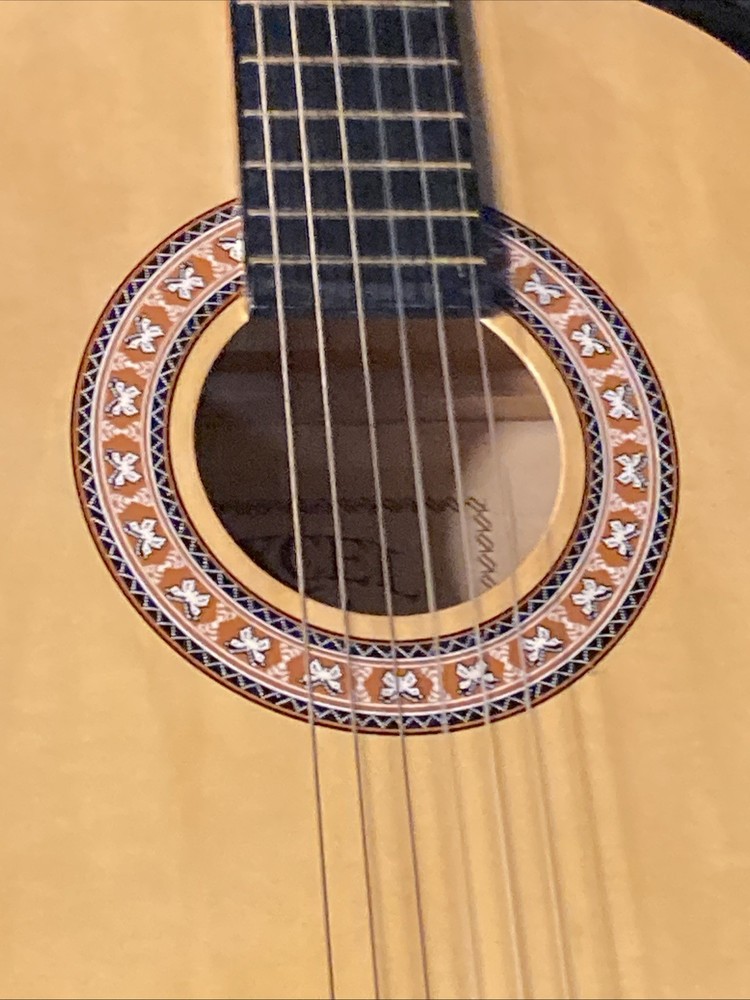 Children’s Nylon String Excel Guitar Model #ex36n - Hard Shell Case Included