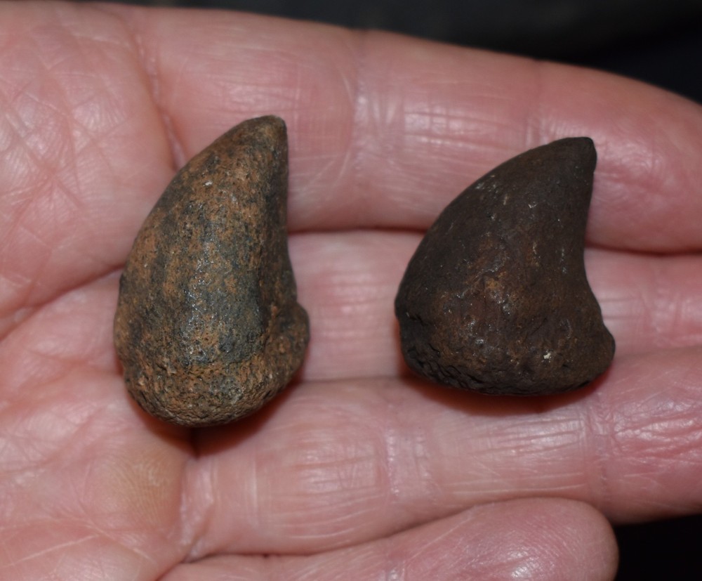 HUGE Fossil GIANT TORTOISE SHELL SECTIONS W/ 30 Osteoderms and 2 Fighting Spurs