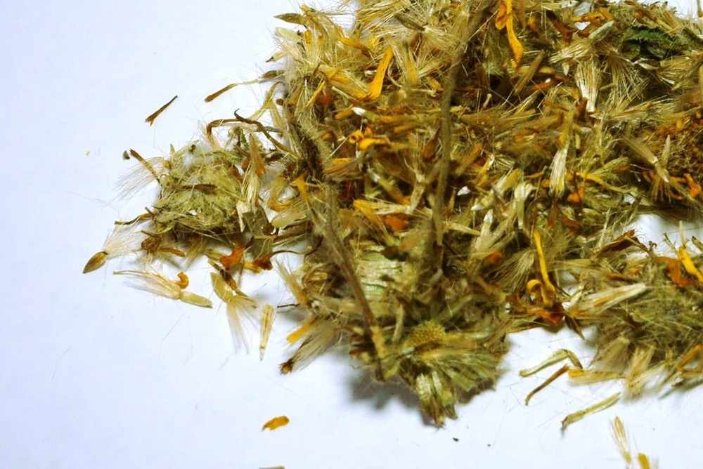 Arnica Flower Whole