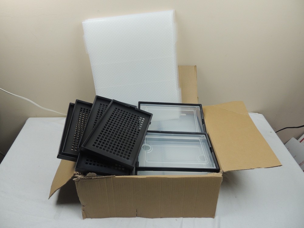 Shoe Storage Boxes Organizers Clear Plastic Stackable 12 Pack