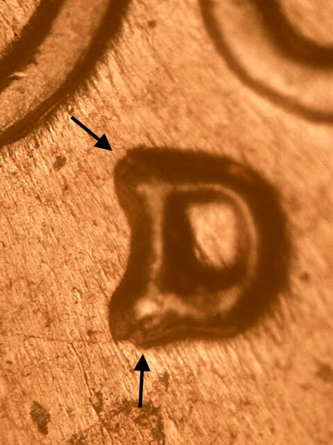 1960-D WRPM#184 D/D Tilted Ch/Gem BU/Uncirculated Red Lincoln Cent Error