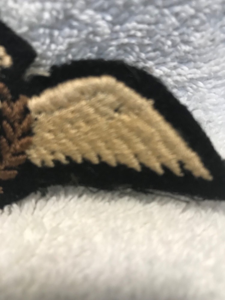 WW2 British Royal Air Force Pilots Wings