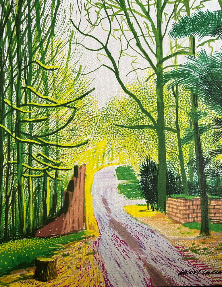 David Hockney Lithograph COA Original Signed Op Numbered Limited &