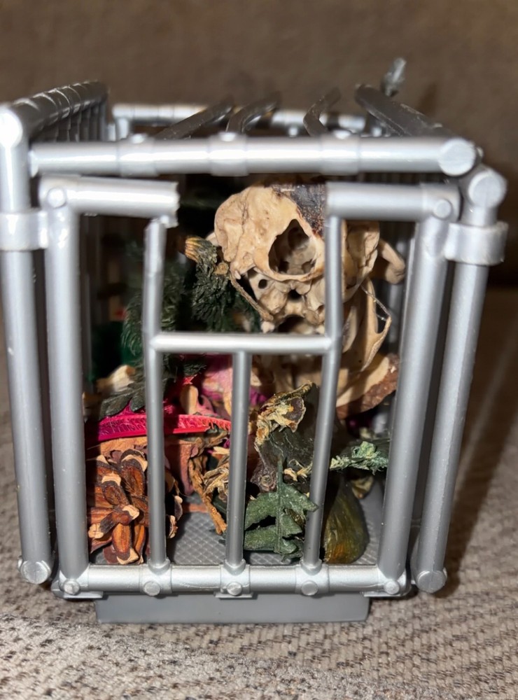 Caged Mink Skull Night Light Art Display Oddity Sideshow Gaff