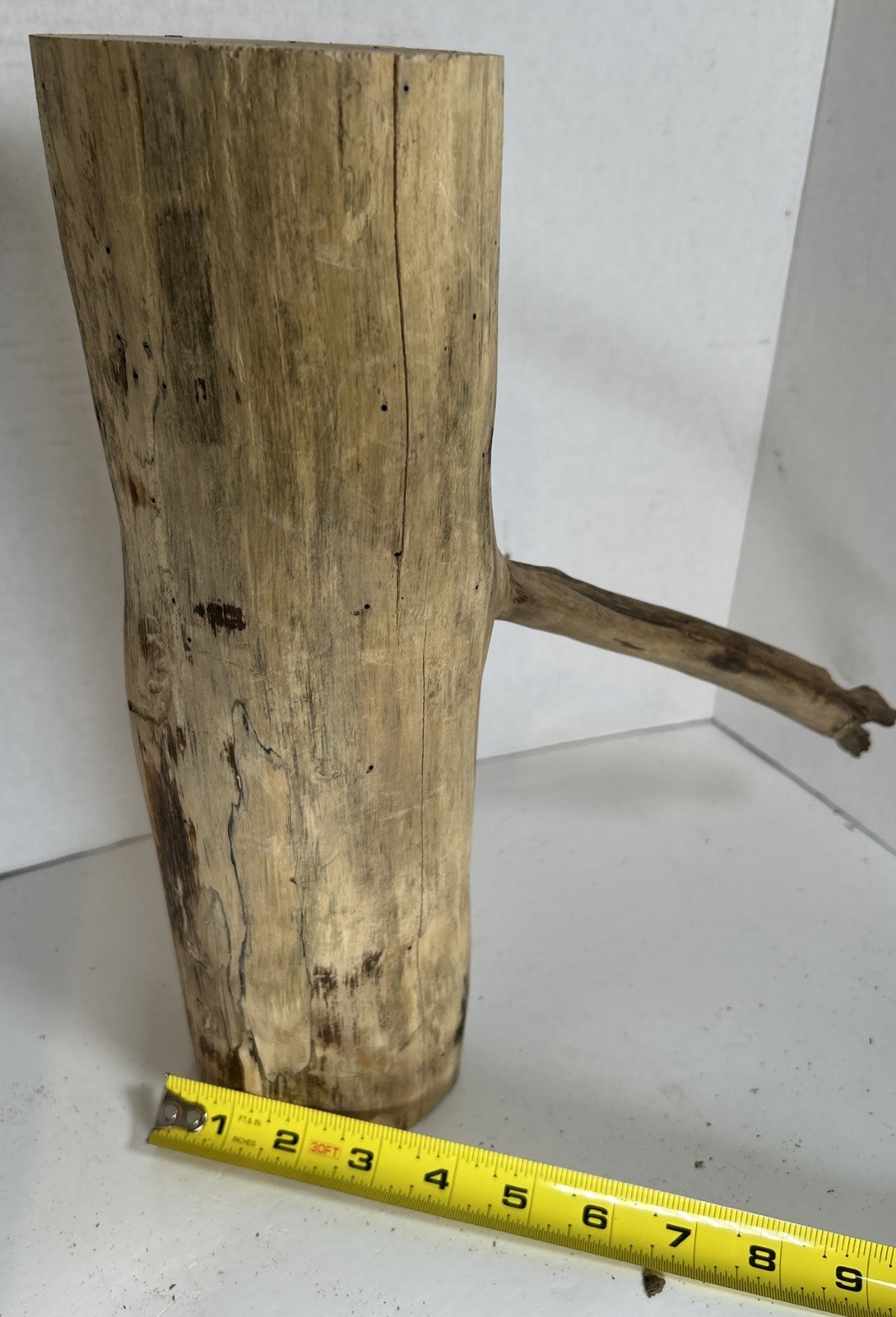 Driftwood¡ 2 Piece Set Cedar Taxidermy Beach Mountain Wedding 1 White Outside