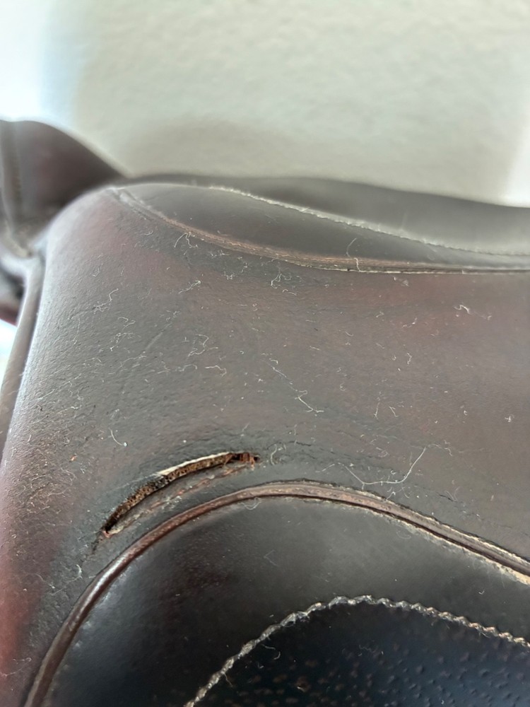 ✨ CWD SE01 17.5" – Long/Forward 3C Flap – Great Condition! ✨