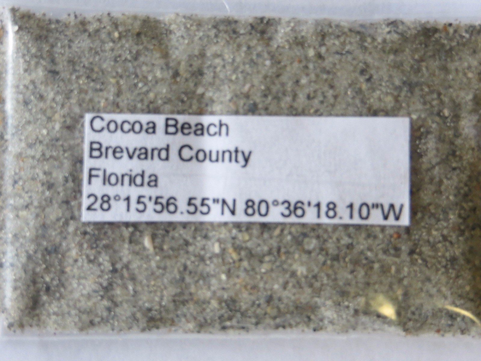 Florida Cocoa Beach Florida Sand Sample