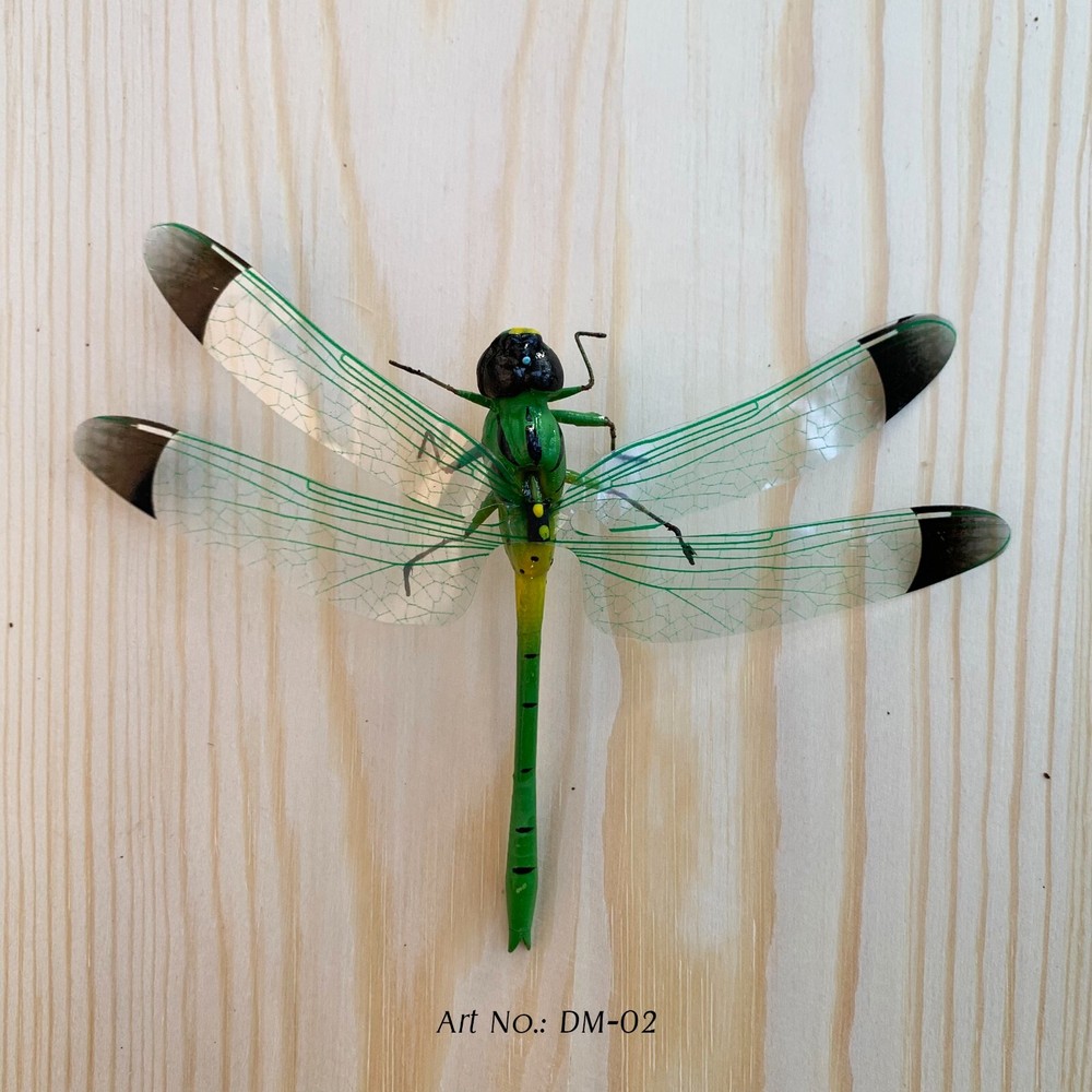 Dragonflies with Magnets