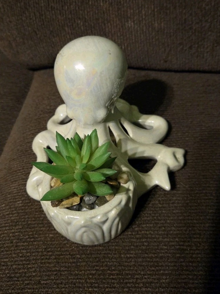 Octopus Succulent Planter Octopus Decoration