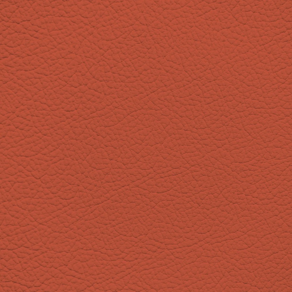 BMW Magma Red Leather Dye