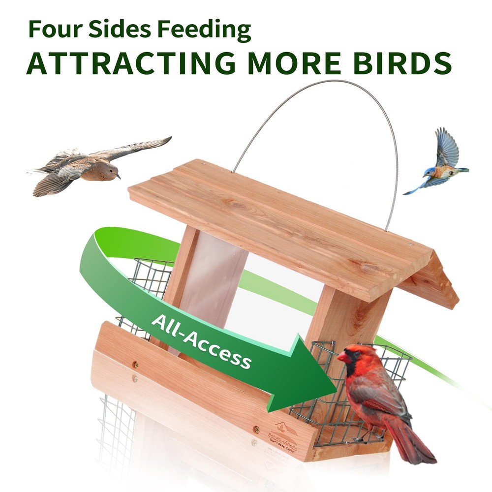 Solution4Patio US Cedar Hopper Bird Feeder for Outdoors Hanging, Multicolor