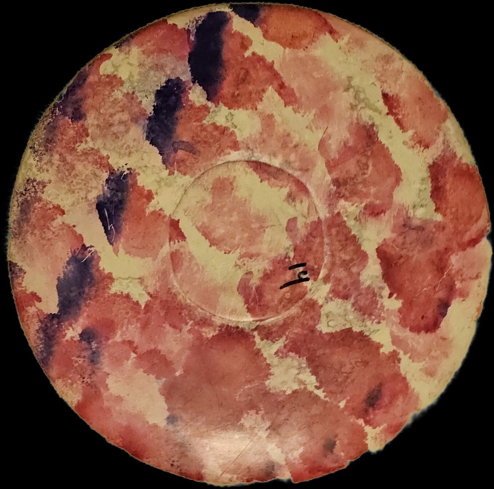 South SUDAN Plate Disk Hand Painted Very Nice Map