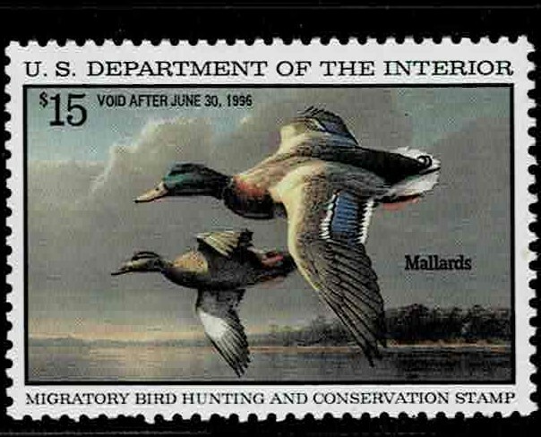 Single   Face Value Duck Stamps RW 62
