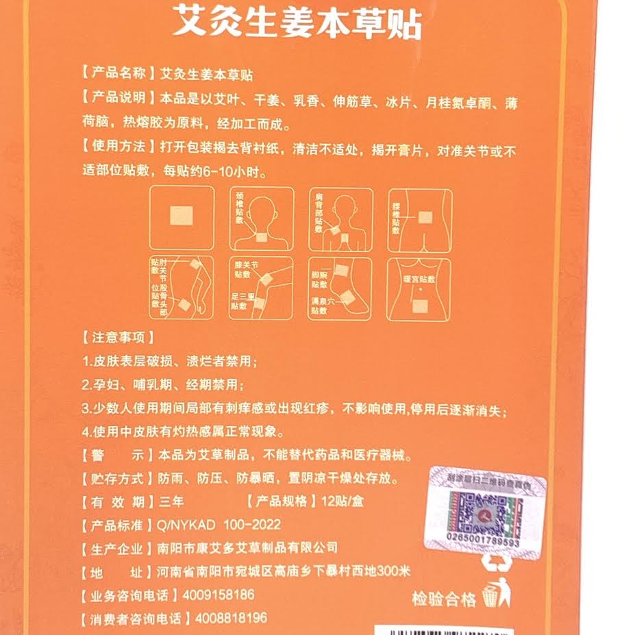 Moxibustion Ginger Warm Patches 12pcs仁和艾灸生薑本草貼
