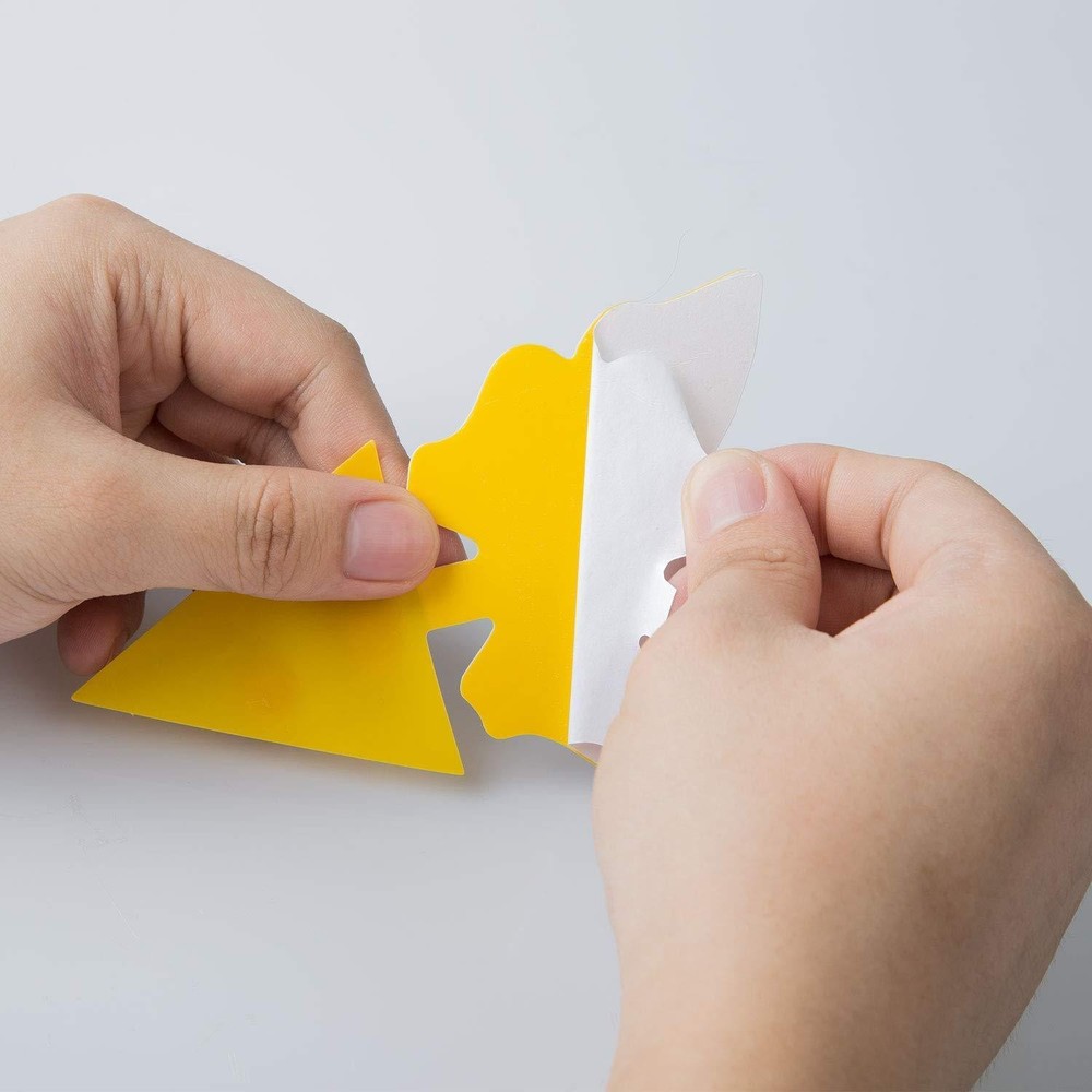 50 Sticky Insect Traps: Double-Sided