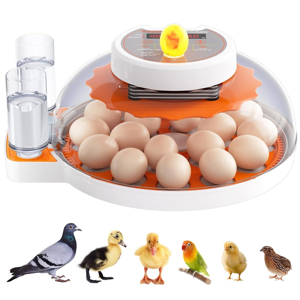 Incubators for Hatching Eggs - 18 Egg Capacity，Automatic Egg Turner，360° Viewing