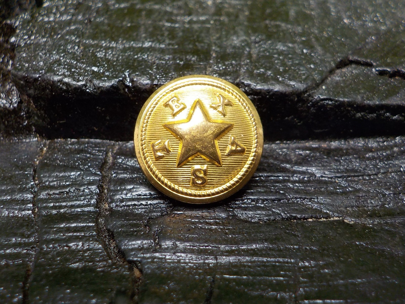 Texas State Seal Vest Button Loaded with Gold in Color w/ Free Button Case