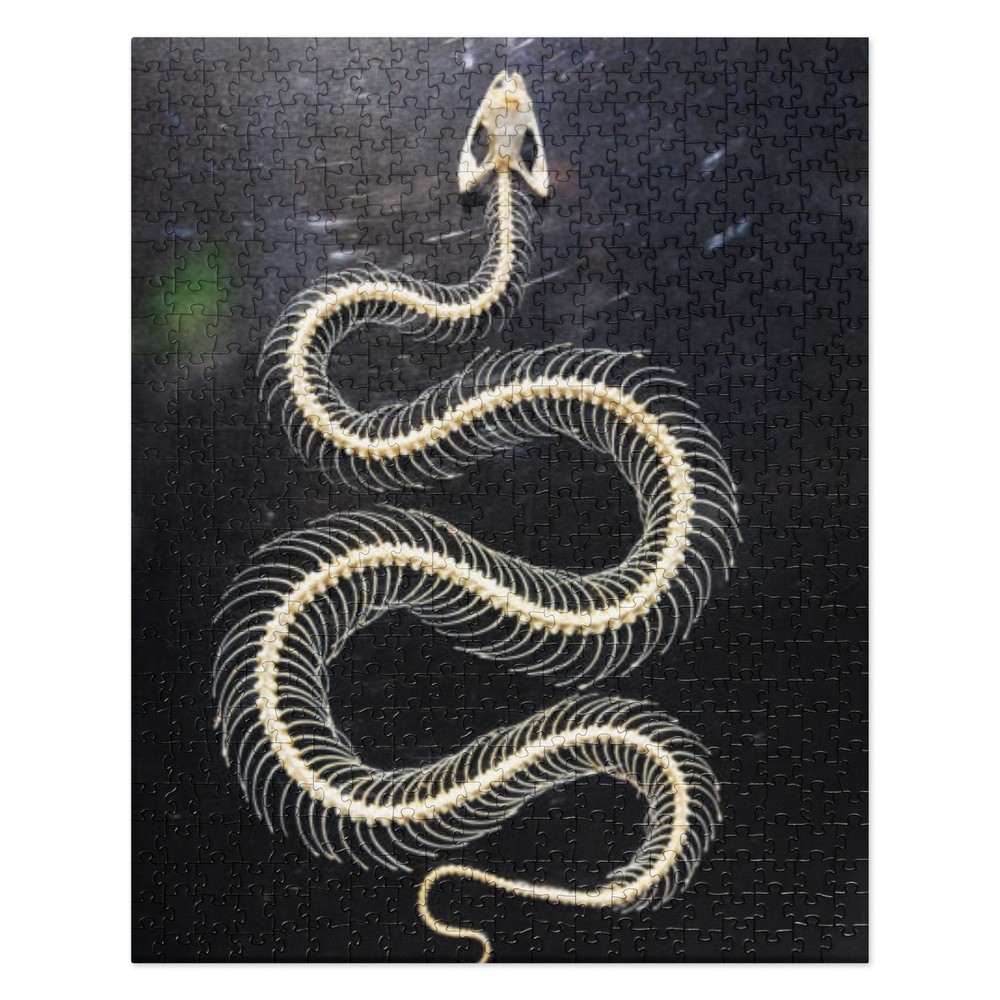 Preserved Snake Skeleton Jigsaw puzzle 520 pc