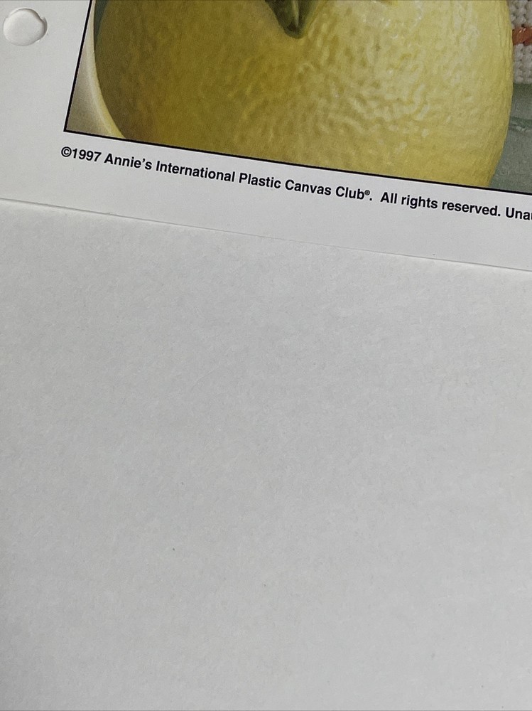 Spring Bouquet Hanger Annie's Plastic Canvas Pattern