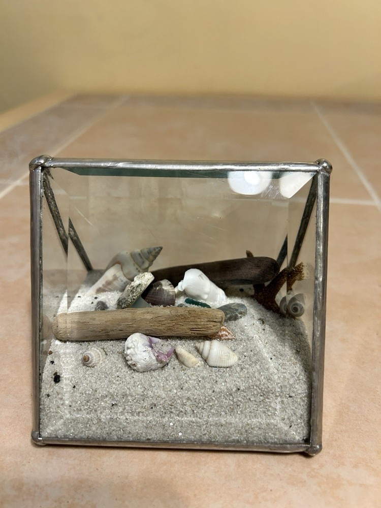 Ocean Sea shells Looking Glass Display Triangle