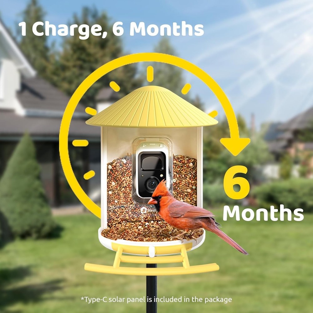 AI Bird Feeder for Live Streaming & Notifications