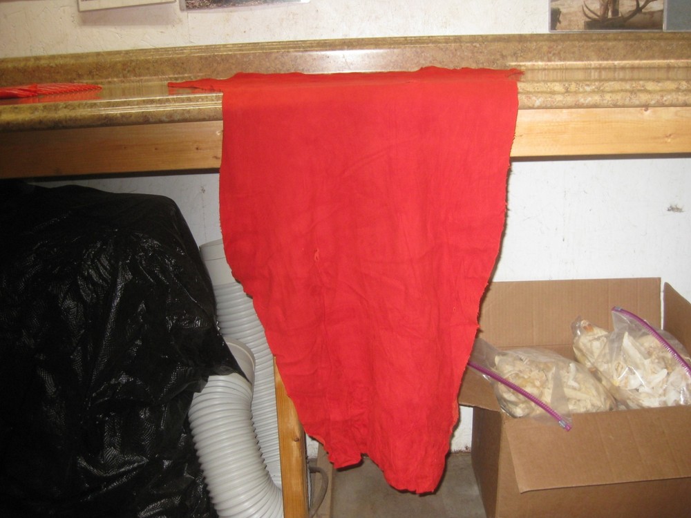 Red Suede Deer Leather #0006745 Row FF