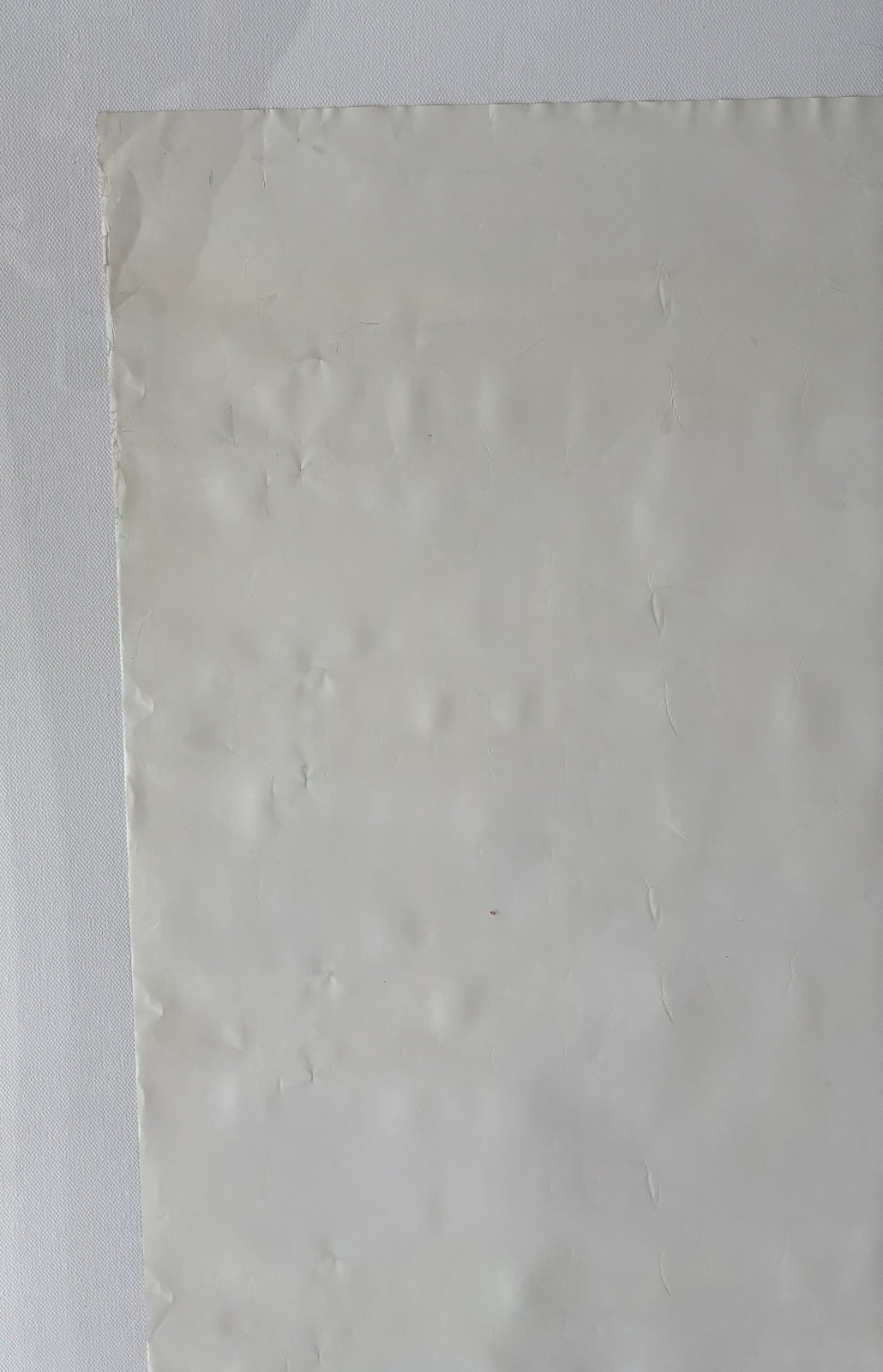 Original Campagnolo Vince CyclingPoster1986 World Championships ColoradoSprings