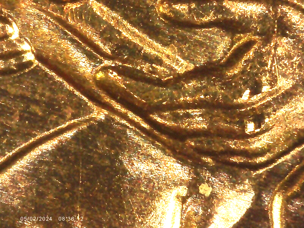 2009 P BU FY DOUBLED DIE REVERSE ERROR WDDR-010