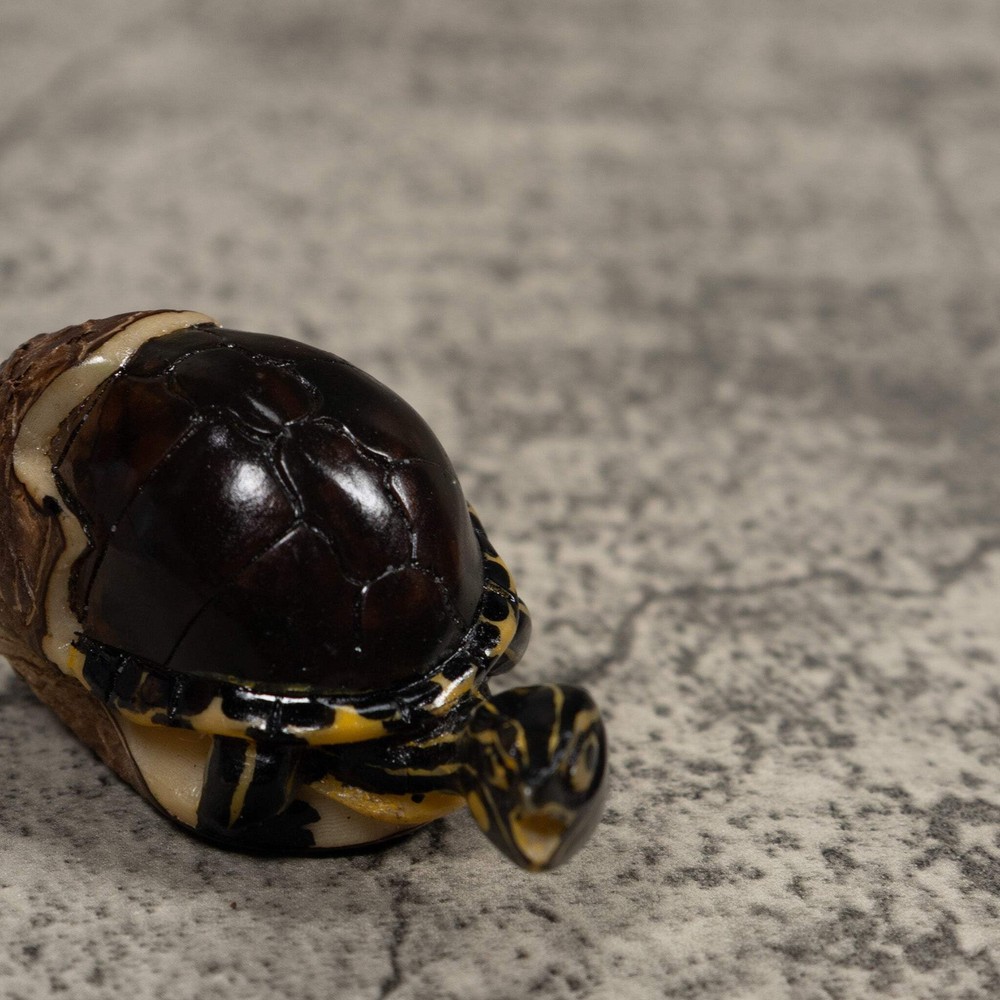 Tortise and Egg Tagua Carving