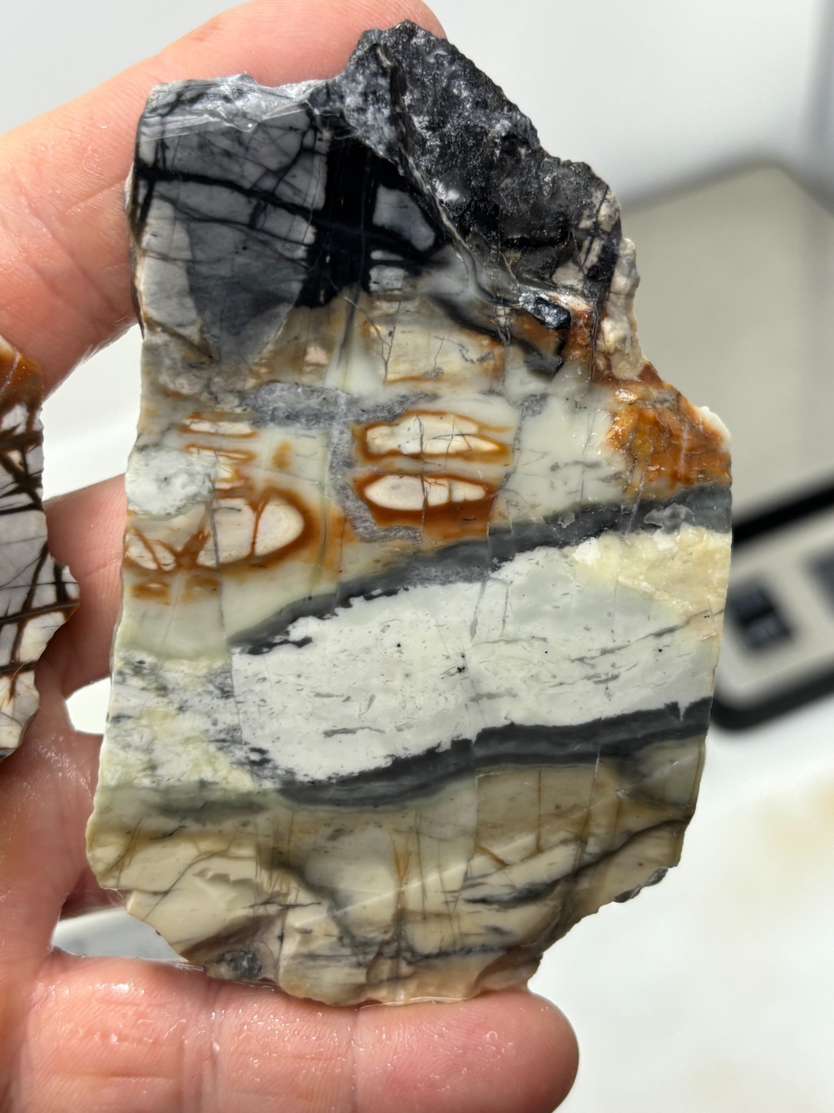 Picasso Marble (Jasper) Slabs Cabbing Lapidary Utah Combo Ship Avail
