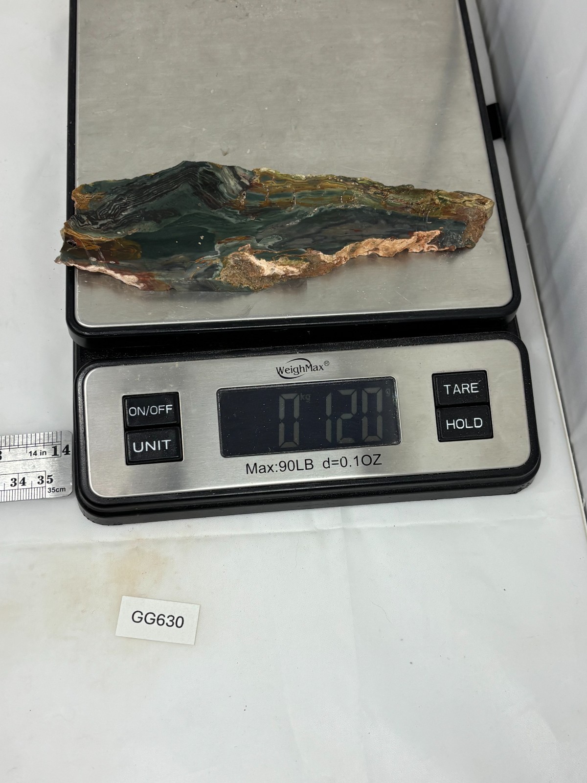 Gary Green Caldera Freedom Jasper Slab Cabbing Lapidary Combo Ship Avail