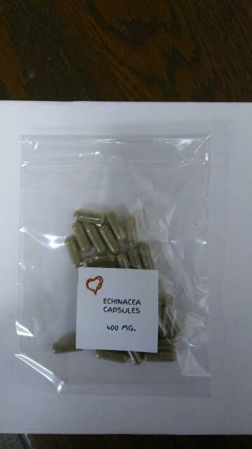 ECHINACEA CAPSULES~400 MG.~ 30 COUNT~IMMUNE SYSTEM, SINUS INFECTIONS