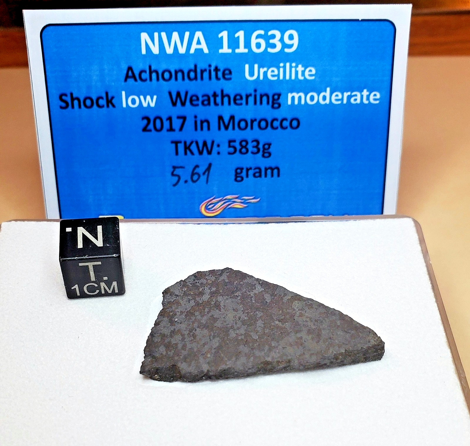 NWA 11639 ~ Achondrite Ureilite Slice ~ Graphite / Diamond Aggregates ~ 5.61 g