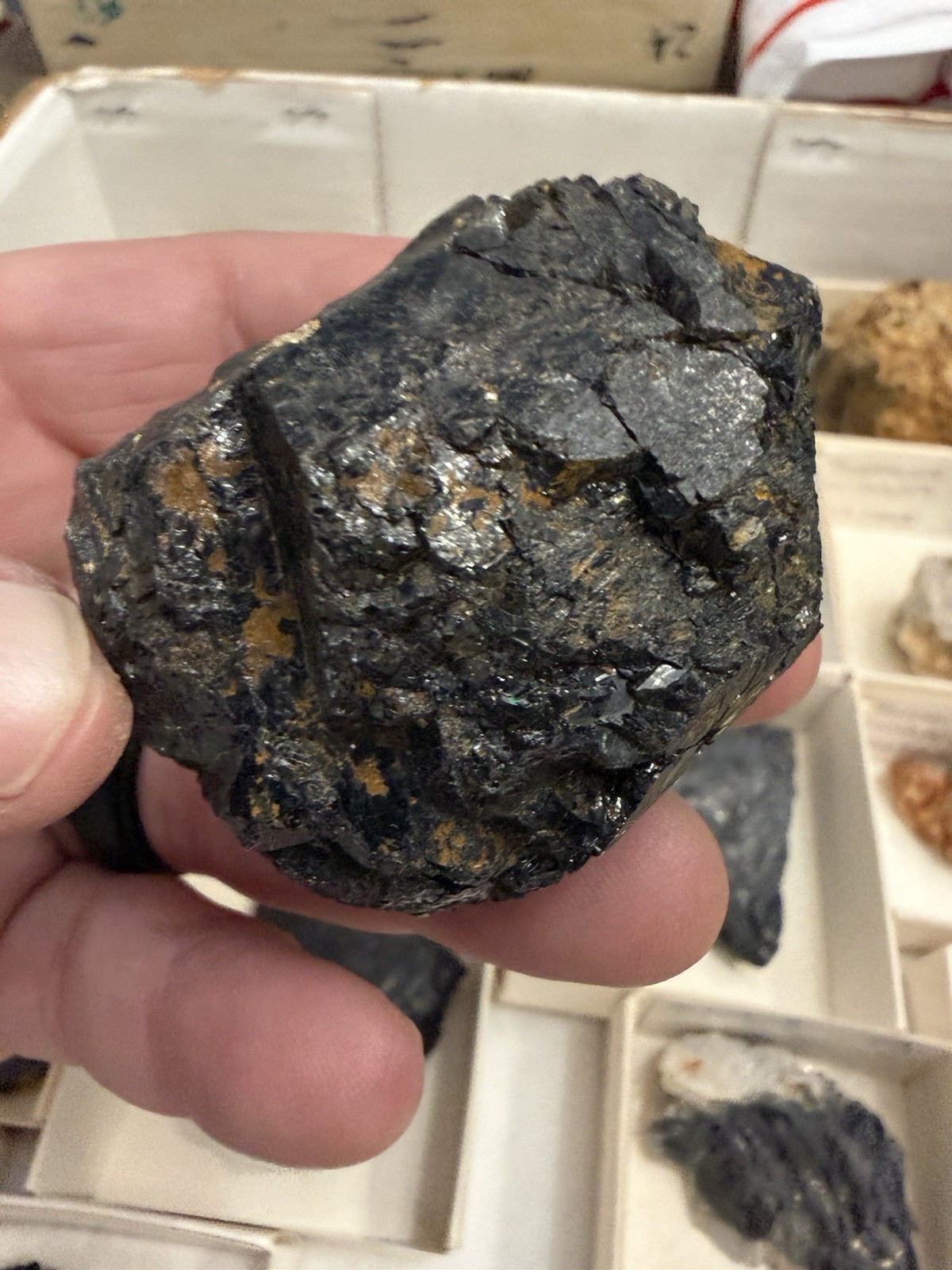 over 20 tourmaline specimens pala chief mine ca little three