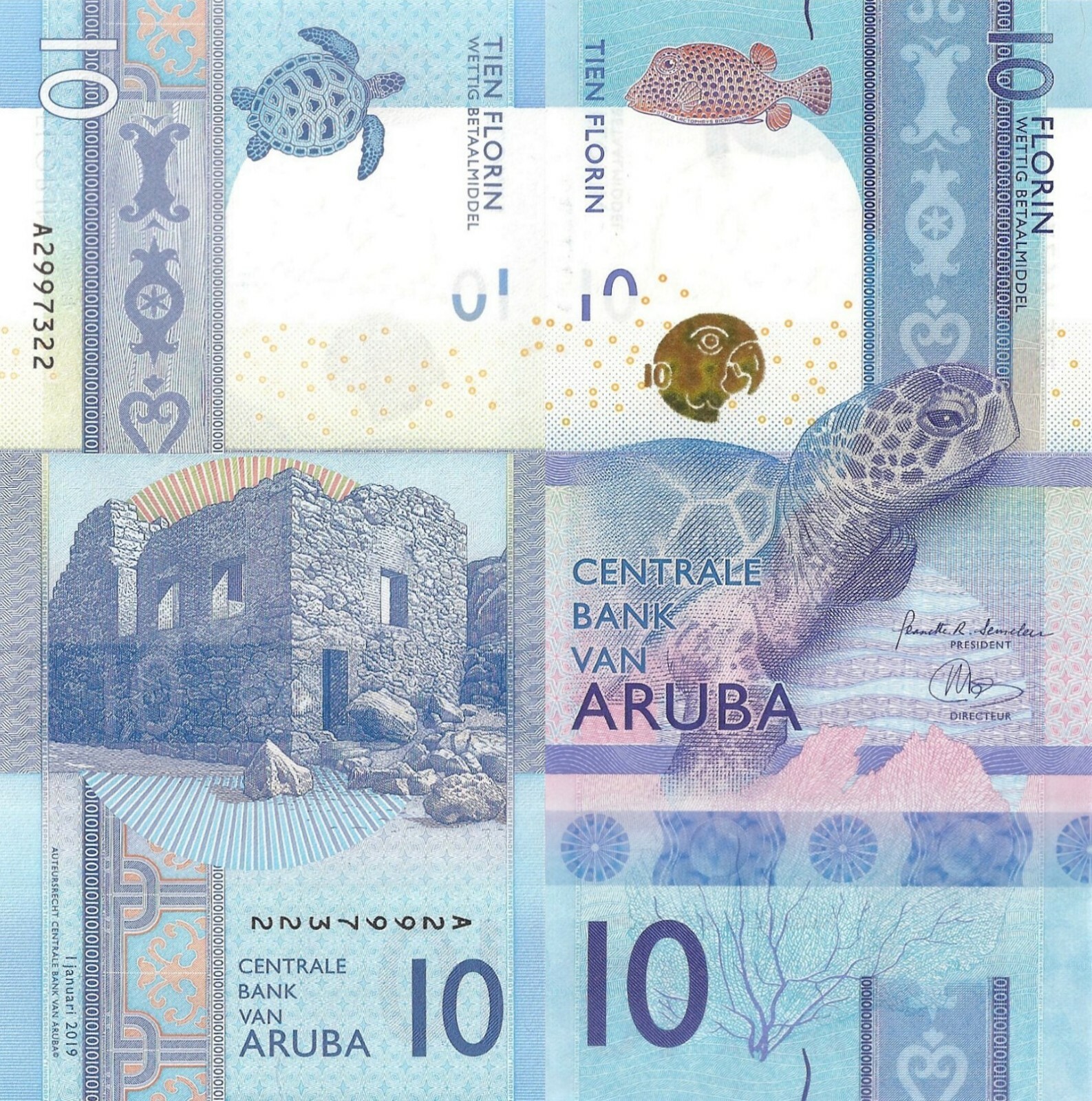 Aruba 10 Florin 2019 - Turtle/Puffer Fish/Ruins, p21a, B121a UNC