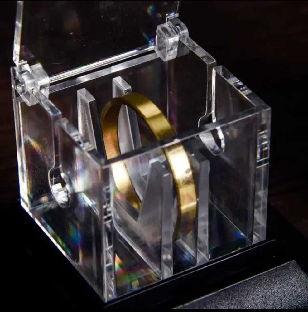 Brilliant Sword Goes Through Ring Magic Trick