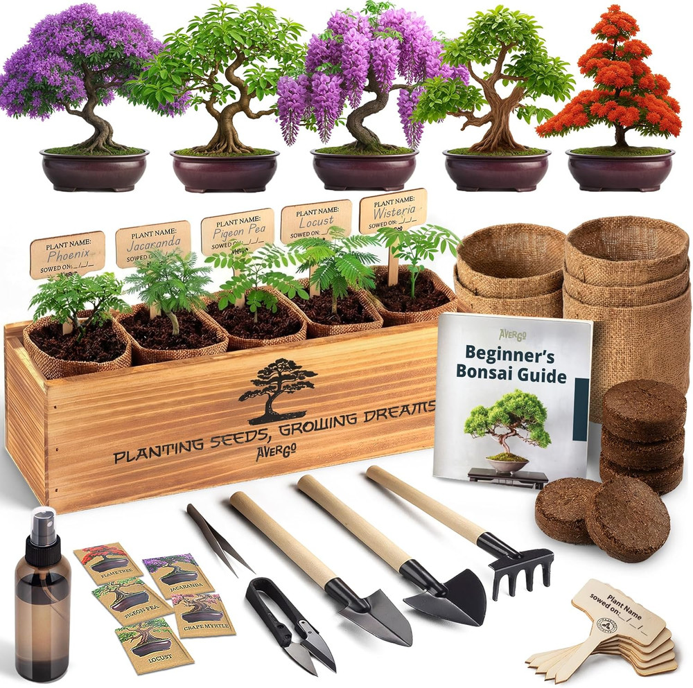 Bonsai Tree Kit for Beginners – 5X Unique Japanese Bonzai Trees | Complete Indoo