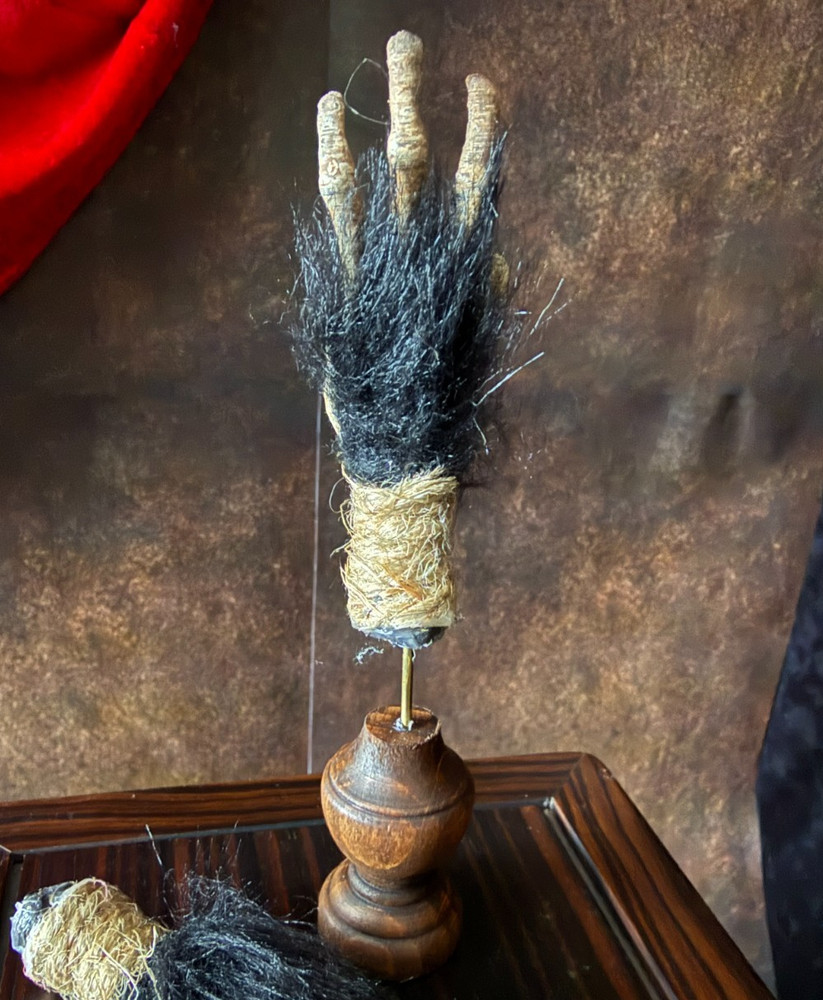 Cursed Monkey Paw for curiosity cabinet unmounted (small)
