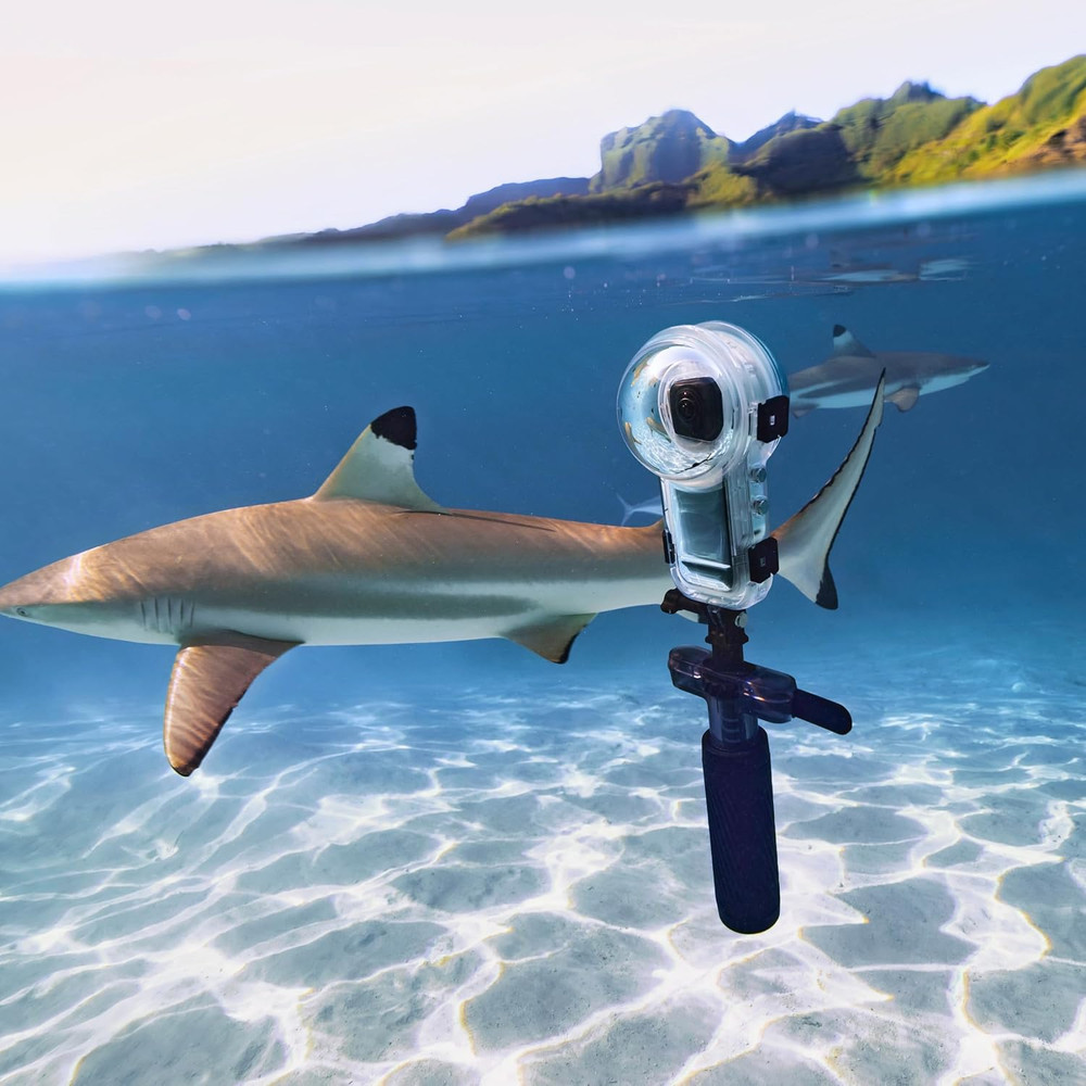Dive Buddy